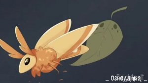 🦋Коты-Воители🦋|клип|🦋In your eyes🦋Листвичка и Мотылинка🦋