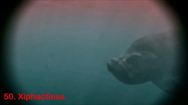 Top 100 Prehistoric Animals
