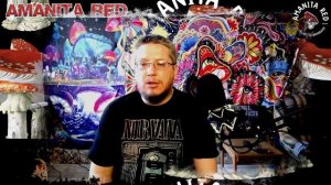 Королевский Мухомор. В чем отличие от Красного и Пантерного