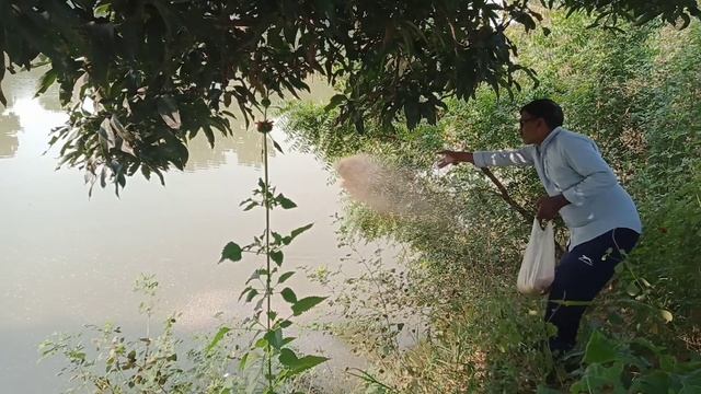 ठंड का मौसम।। ये गलती कभी नहीं करना।। 7 months Grass carp common carp fish updated смотреть онлайн