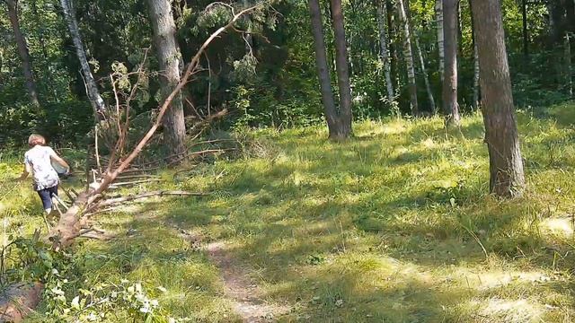 Бабушка в лесу 5