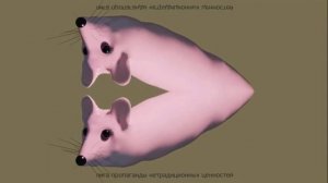 🐭СОСИСКА-МЫШКА ТУЦ ТУЦ 🐭