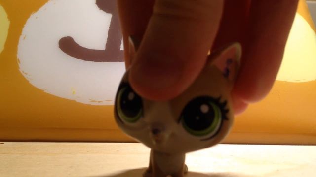 LPS кошки