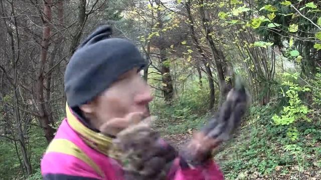 муз.Сериал Грибы 5серия (теперь под музыку)