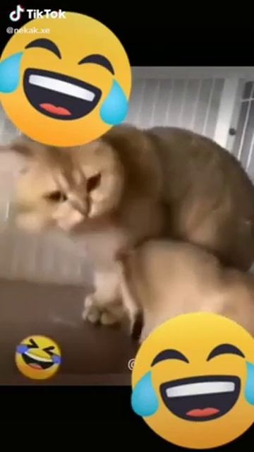 зубы чистил смотреть онлайн
