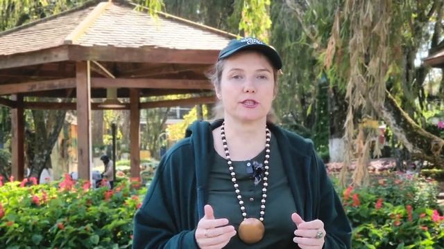 Как отправлять в свет? #род #предки #семья #силарода #родовыерасстановки #работасродом смотреть онлайн