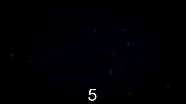 Топ 10 самых КРУТЫХ ИНТРО БЕЗ ТЕКСТА!!!!!!!!!!