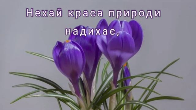 Гарне привітання з 8 березня смотреть онлайн