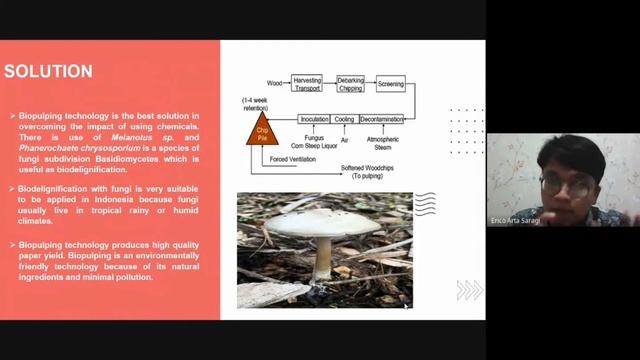 Quiz1_Erico Arta Saragi_ BIOPULPING TECHNOLOGY SOLUTIONS FOR THE PAPER INDUSTRY смотреть онлайн