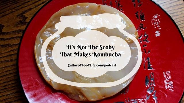 Podcast Episode 218: It's Not The Scoby That Makes Kombucha
