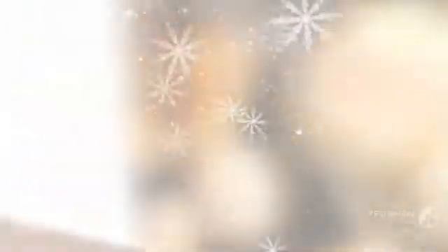 Hymenogastraceae - fungi kingdom смотреть онлайн