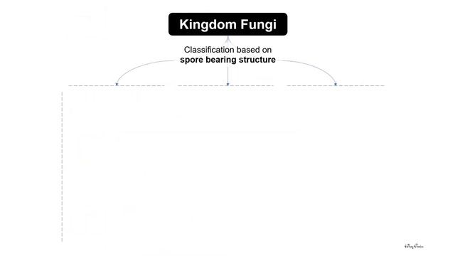 1.5 Kingdom Fungi смотреть онлайн