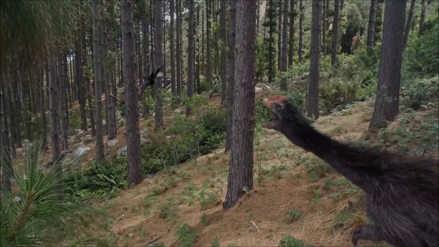 Ancient Earth - Anchiornis Huxleyi