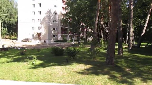 В Ясной Поляне.. смотреть онлайн