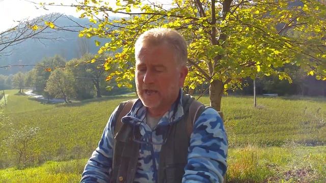 Truffle hunting in Le Marche смотреть онлайн