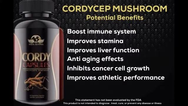 Cordycep Mushroom #cordy #mushroom #cordyceps смотреть онлайн