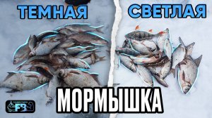 Как влияет на клев цвет мормышки? Черная против светлой!