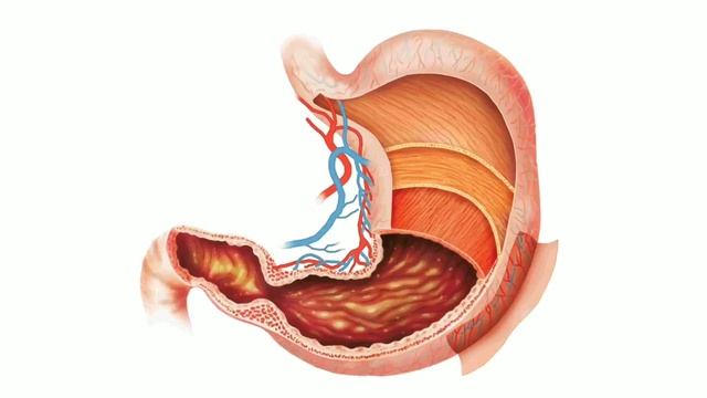 Class 10 Life Science Chapter 1 In Odia  || Human  Digestive  System In Odia(ମଣିଷର ପାକତନ୍ତ୍ର)