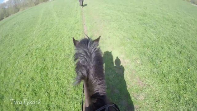 GoPro Horse Riding: Headcam Hacking смотреть онлайн