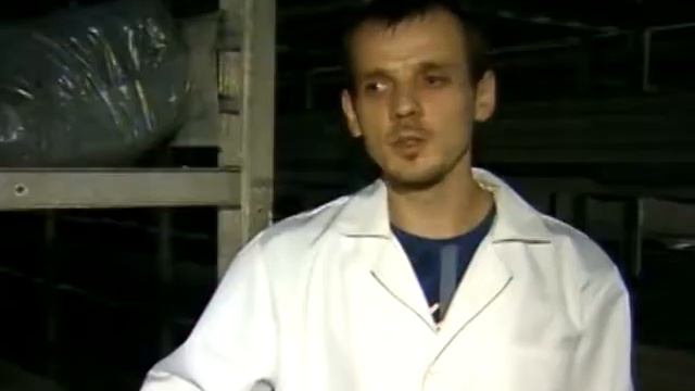 Ріо Шампіньйон, Стрептів, День Кам'янка-Бузького району смотреть онлайн