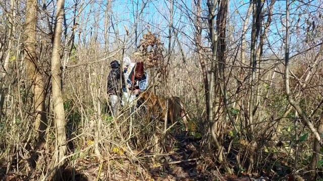 В ЛЕС ЗА ГРИБАМИ🍄. СОБИРАЕМ ОПЕНЬКИ. ЧЕРНЫЙ ЛЕС 🏕. смотреть онлайн
