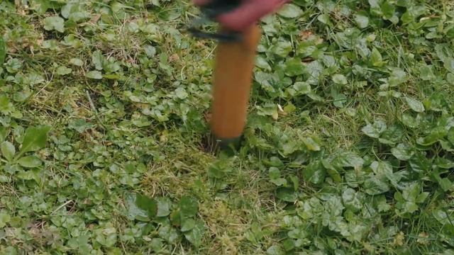 Champignons auxiliaires contre les larves du hanneton commun et de la Saint-Jean смотреть онлайн