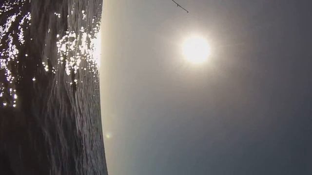 Pelagic stingray off Dana Point смотреть онлайн