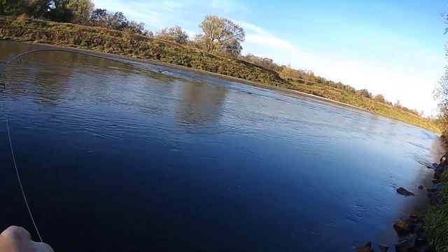 Spory boleń na nowym kiju, Big Asp, Asp Fishing смотреть онлайн