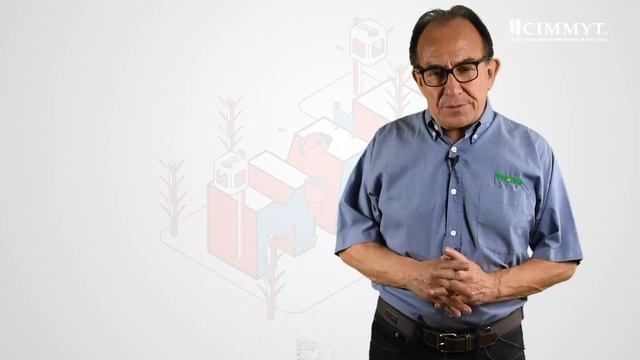 Hongos entomopatógenos: asesinos de insectos dañinos смотреть онлайн