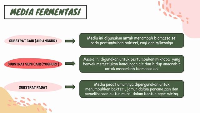 Bioteknologi Fermentasi dan Aplikasinya dalam Bahan Pangan смотреть онлайн