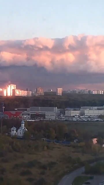 собака лама смотреть онлайн