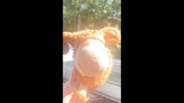 Баран Ляль. В гостях у дедушки. 1 серия смотреть онлайн