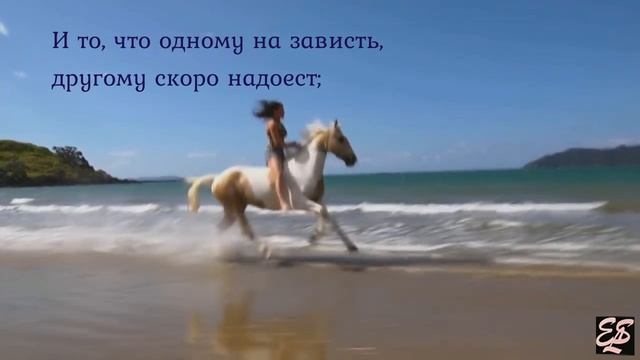 "Размышления..."Eldar Salakhov.(ELS) смотреть онлайн