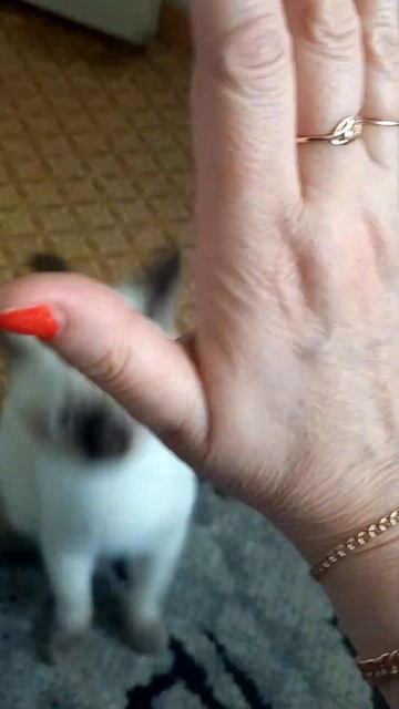 31 марта 2023 г. смотреть онлайн