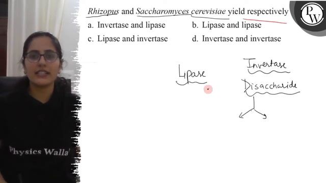 Rhizopus and Saccharomyces cerevisiae yield respectively
a. Inverta... смотреть онлайн
