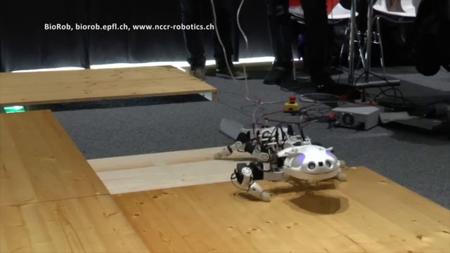 Pleurobot: Multimodal locomotion in a bioinspired robot смотреть онлайн