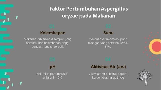 Aspergillus oryzae - Mikrobiologi Pangan смотреть онлайн