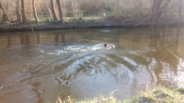 Мальчик убился об воду , ужас море крови смотреть онлайн