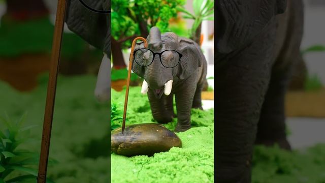 🐘ЧТО МЫ ЗНАЕМ ПРО СЛОНА❓❗#shorts #слоны #животные #игрушки #игрушкидлядетей #collecta #игрыдлядетей смотреть онлайн