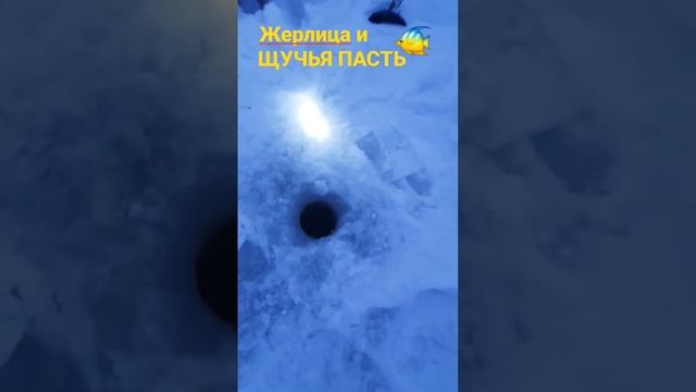 Жерлица и ЩУЧЬЯ ПАСТЬ!!🔥 #fishing #рузаевка #fish #рыбалка #жерлица #щука #плотва #карась #окунь смотреть онлайн