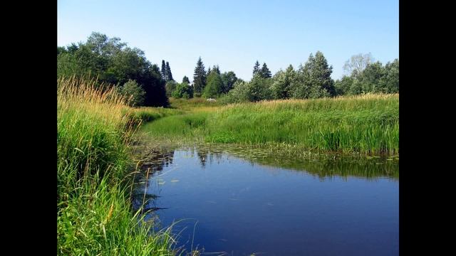 Удрая.автор  исполнитель Эдуард Данилов стихи Марина Александрова