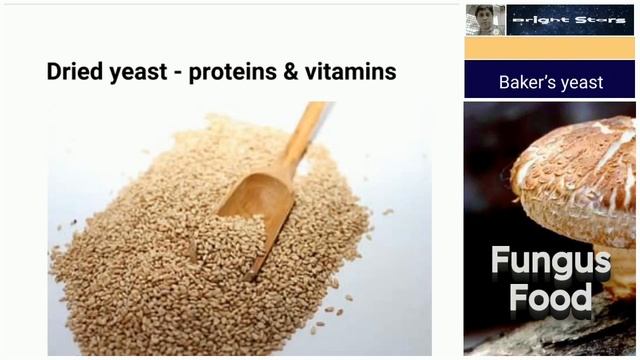 Useful Fungi, Biology, NEET, UPSC, CBSE, ICSE, NDA смотреть онлайн