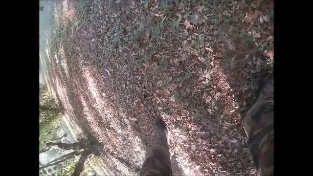 TRUFFLE HUNTING WITH THE TRAINING SCHOOL MAJELLA AND LAGOTTOS смотреть онлайн