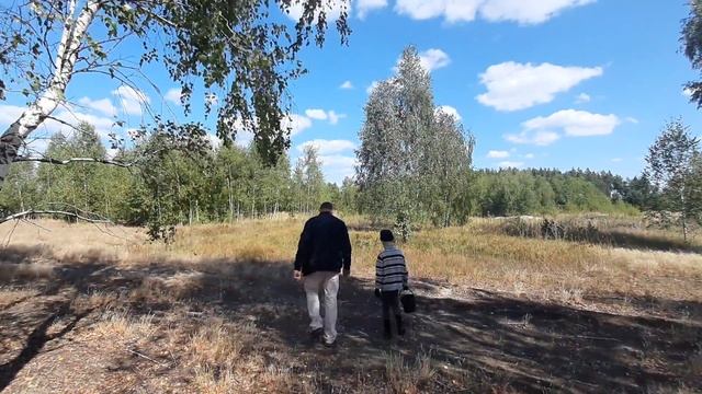 прогулка по лесу, без грибов.