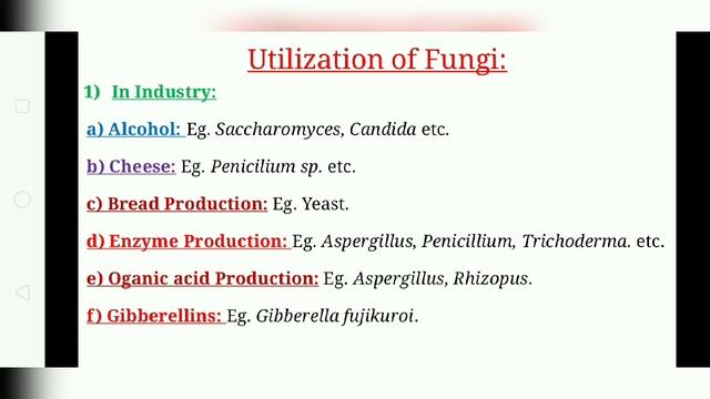Chapter 4 (Part-6) Fungi