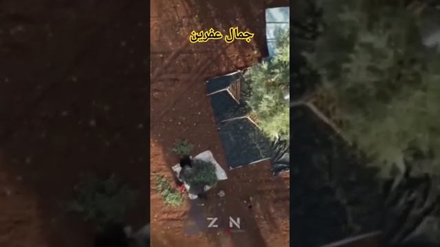 تصوير درون موسم الزيتون عفرين❤️☀️💚 смотреть онлайн