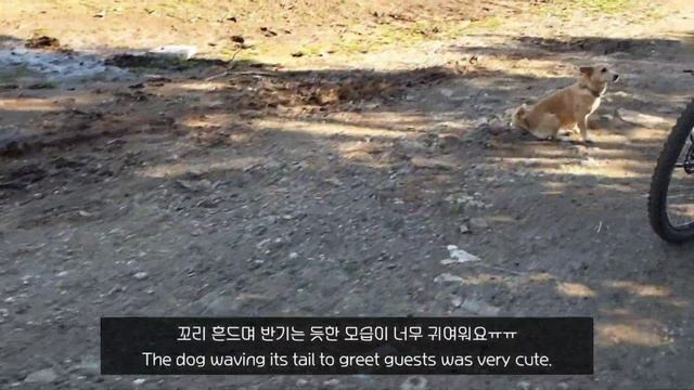 [로마 여행] 이탈리아 로마 아피아 가도 전동자전거 투어/The Ancient Appian way E-bike tour in Rome (English sub) 여행 브이로그 смотреть онлайн