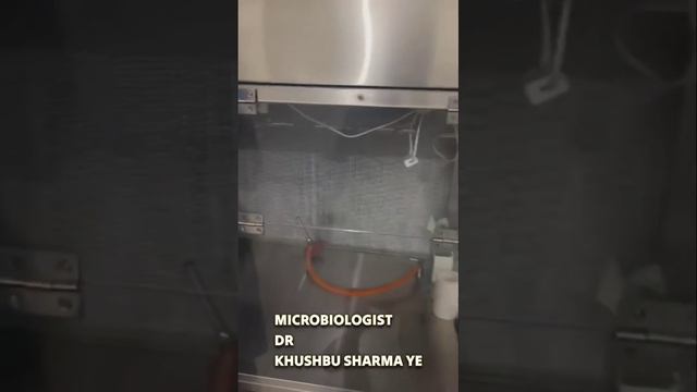Explore our Cordyceps Militaris Lab where Nature meets Biotechnology смотреть онлайн