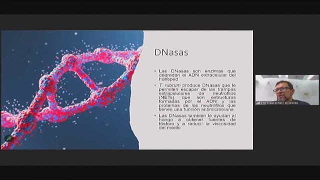 PRINCIPALES FACTORES FENOTÍPICOS DE LA VIRULENCIA,IDENTIFICADOS EN EL HONGO DERMATOFITO TRICHOPHYTO смотреть онлайн
