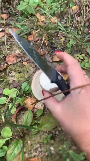 Поход за грибами в Подмосковье ) эмоции зашкаливают ) смотреть онлайн